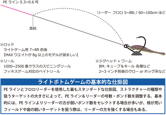 BM.キューブ ジグヘッド チニング ライトロック ラフボトム攻略