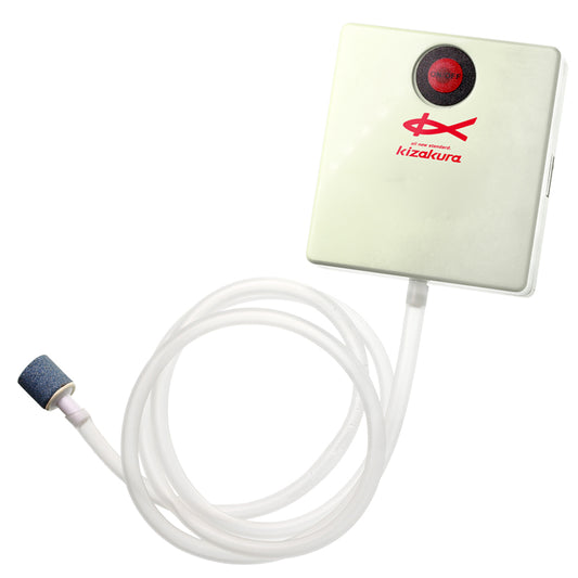 ちびポンプ イキイキ 泳がせ 釣り堀